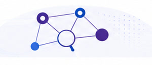 A network of connected points